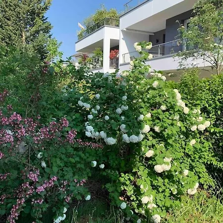 Robertsau, Jardin En Ville Straßburg Exterior foto
